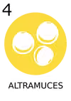 iconoAltramuces